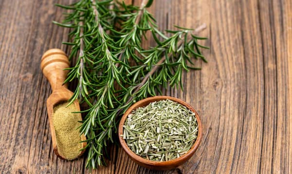 خرید رزماری خشک شده + قیمت فروش استثنایی